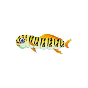 Caterpillar Fish